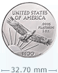 1 oz Platinum American Eagle Coin