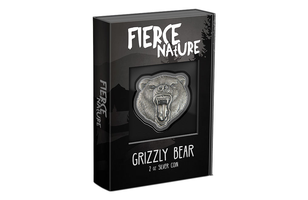 Buy 2 oz Silver Fierce Nature Grizzly Bear Coin (2023), image 6