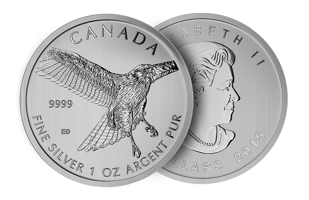 Buy 2015 1 oz Silver Red-Tailed Hawk Coins - Canadian Birds of Prey Coin Series, image 2