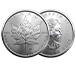 Buy 2022 MintFirst™ 1 oz Platinum Maple Leaf Coins (tube of 10), image 3