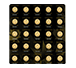 Buy 25 x 1 gram Gold MapleGram25™ (Random Year), image 4