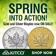 2024 Spring Sale on Gold and Silver Maples