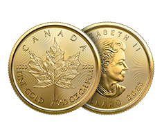 2023 1/10 oz Canadian Gold Maple Leaf Coins (Brilliant Uncirculated)