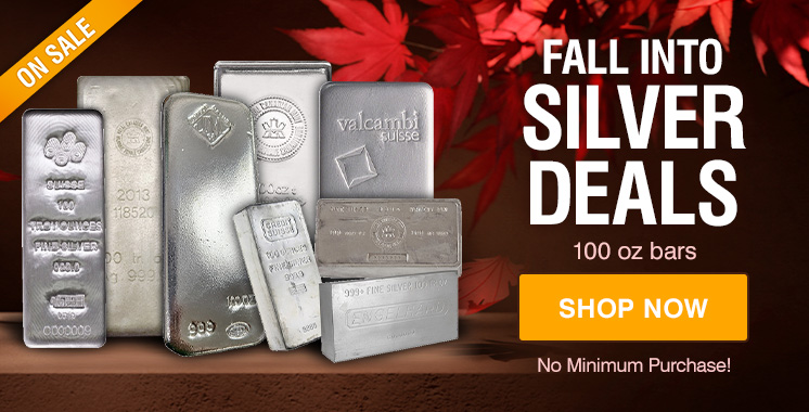 100 oz Silver Bars Sale 