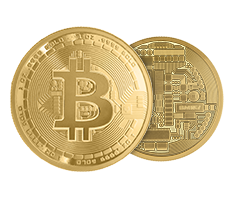 1 oz Pure Gold Bitcoin Round .9999