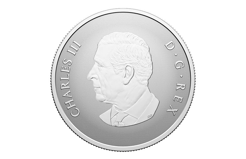 Buy 1/2 oz Silver Welcome to the World Coin (2026), image 1