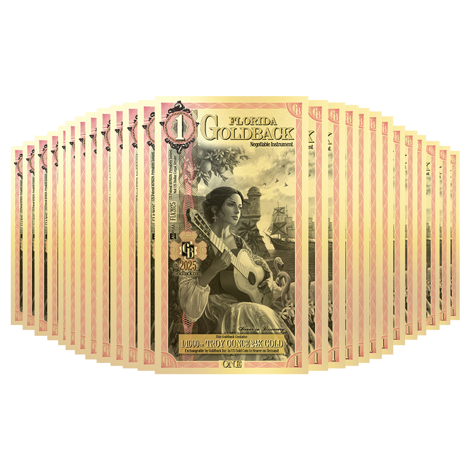 Buy1 Florida Goldback Gold Notes Pack (50 pc) 24K, image 0