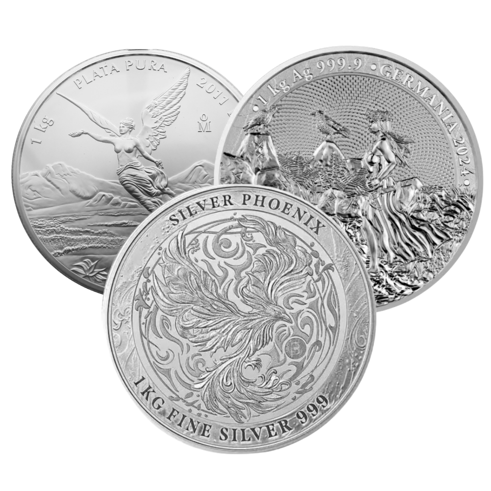 1 kg Silver Coin .999, image 0