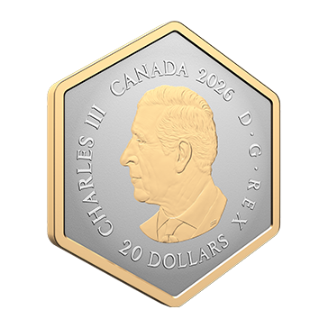 Buy 1 oz Silver Nature's Delight: The Spider Coin (2026), image 3