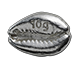 Buy 10 g Silver Money Cowries .999 – Kilo Bag, image 0