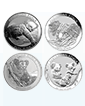 10 oz Silver Australian Koala Coin (Random year)
