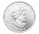 Buy 1 oz Palladium Canadian Maple Leaf Coins, image 1