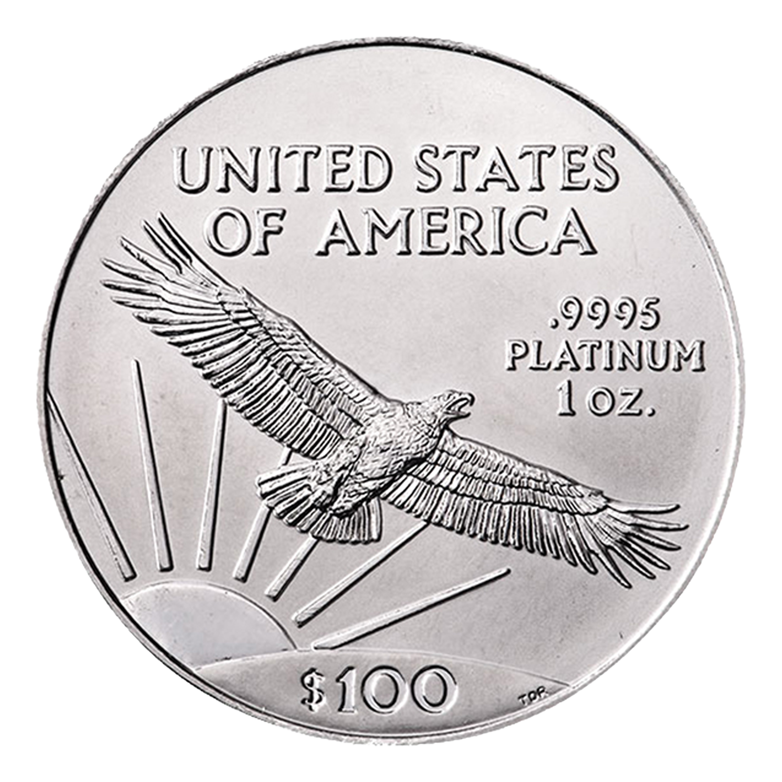 1 oz Platinum American Eagle Coin, image 0