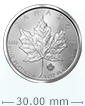 1 oz Platinum Canadian Maple Leaf Coin