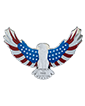 2 oz Silver America the Free Bald Eagle Coin (2024)