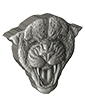 2 oz Silver Fierce Nature Leopard Coin (2023)