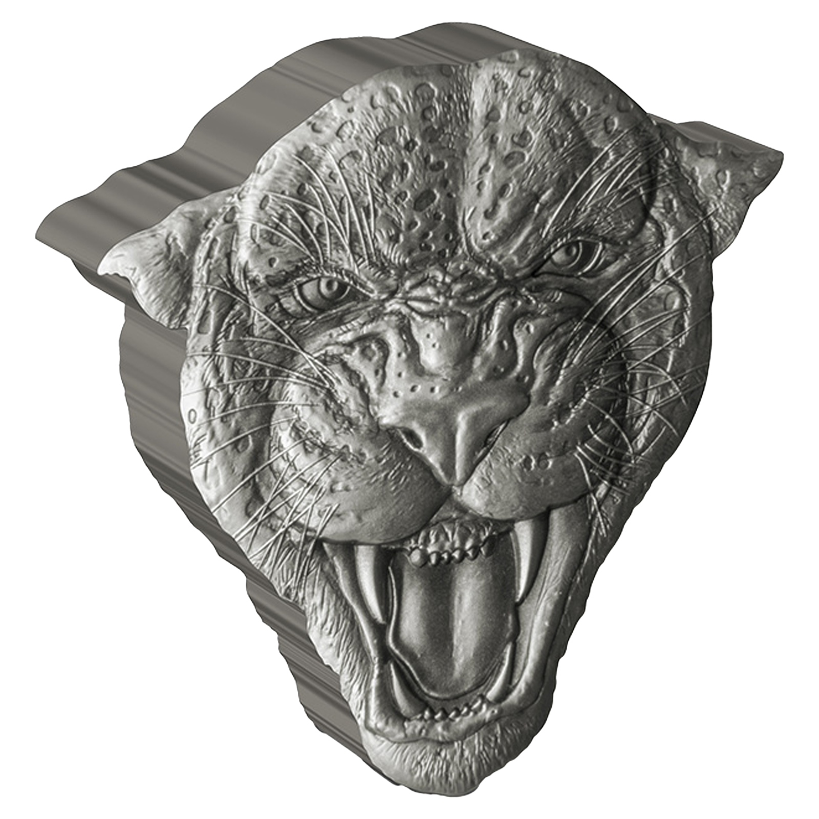 Buy 2 oz Silver Fierce Nature Leopard Coin (2023), image 0