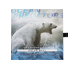 Buy 2 oz Silver Ocean Predators Polar Bear Coin (2021), image 6