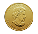 2008 1 oz Gold Maple Leaf Olympic Edition Coin, image 1
