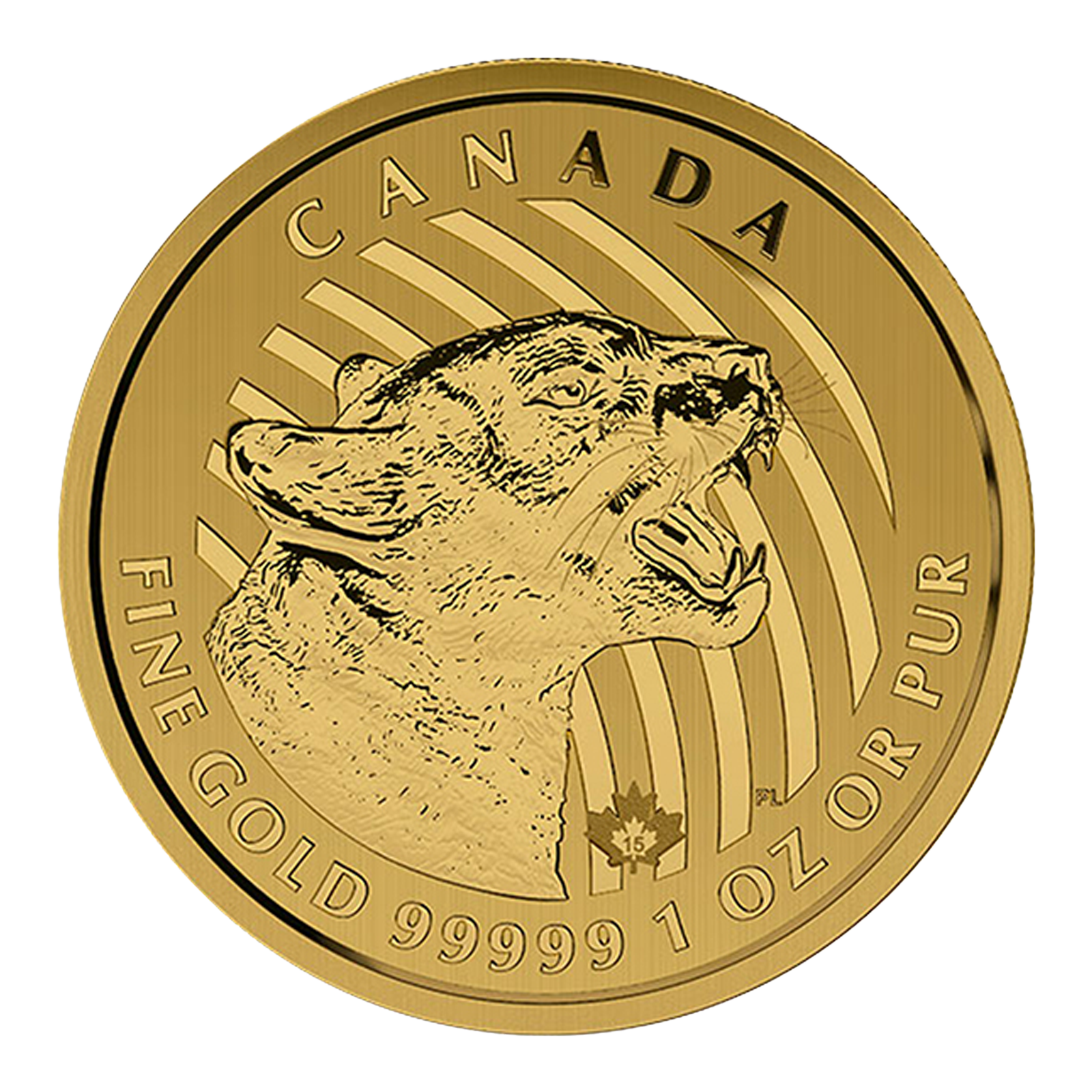 2015 1 oz Canadian Gold Growling Cougar Coins, image 3
