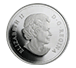 Buy 2015 1 oz Silver Superman Coins - Superman Unchained #2 (2013), image 1
