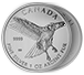 Buy 2015 1 oz Silver Red-Tailed Hawk Coins - Canadian Birds of Prey Coin Series, image 2