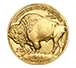 2019 MintFirst™ 1 oz Gold American Buffalo (Single Coin), image 1