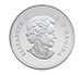Buy 2018 1/4 oz Silver Coin - Dragon Luck .9999, image 1