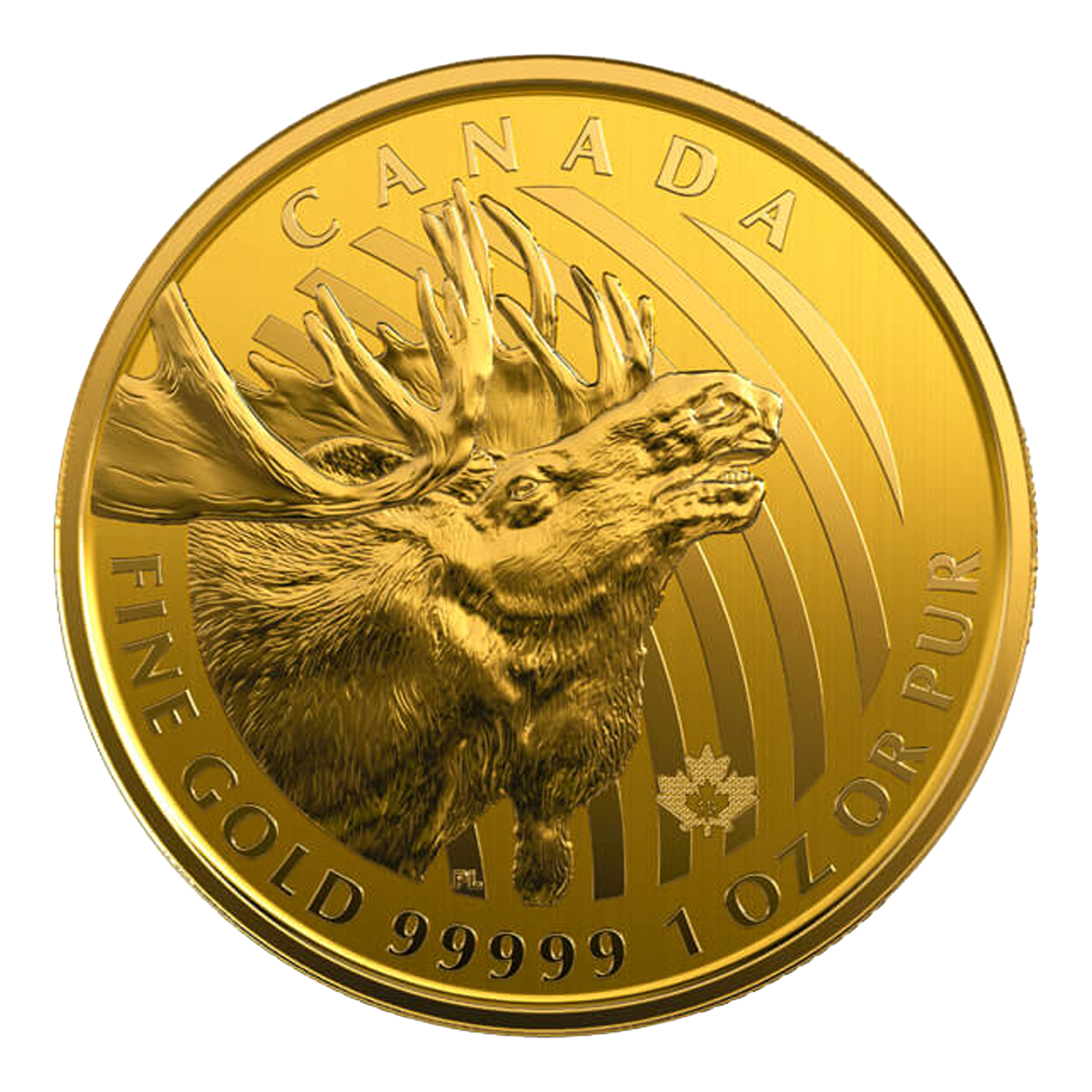 2019 1 oz Moose Gold Coins - Royal Canadian Mint, image 2