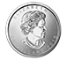 Buy 2019 MintFirst™ 1 oz Platinum Maple Leaf Coins (tube of 10), image 2