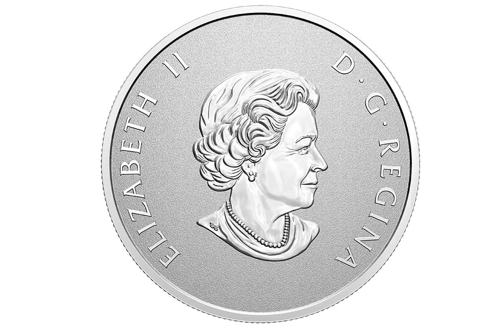 Buy 2020 1/2 oz Silver Coin .9999 - Welcome to the World, image 1