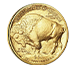 Buy 2021 MintFirst™ 1 oz Gold American Buffalo (Single Coin), image 2