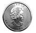 Buy 2021 MintFirst™ 1 oz Platinum Maple Leaf Coins (tube of 10), image 2