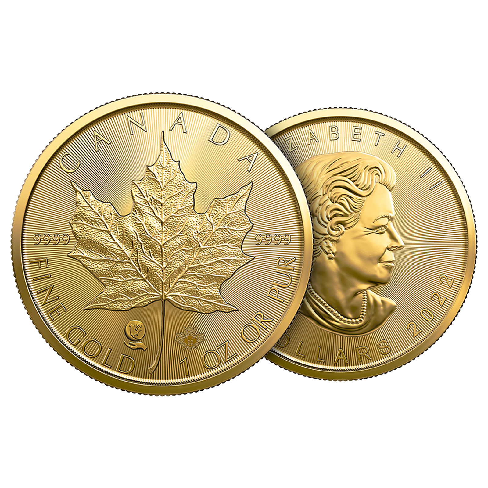2022 1 oz Gold Maple Coins (single-sourced mine), image 3