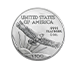 Buy 2022 1 oz Platinum American Eagle Coins, image 1