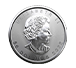 Buy 2022 MintFirst™ 1 oz Platinum Maple Leaf Coins (tube of 10), image 2