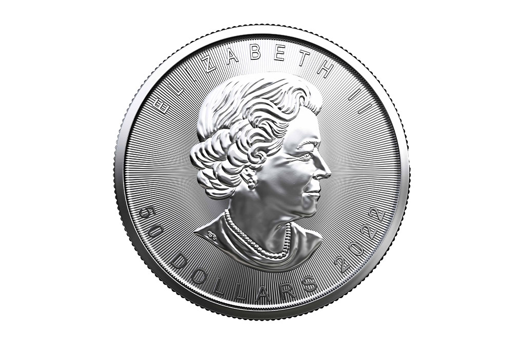 Buy 2022 MintFirst™ 1 oz Platinum Maple Leaf Coins (tube of 10), image 2