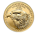 Buy 2023 1 oz Gold Eagle Coins (20 per tube) - MintFirst™, image 1