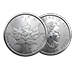 Buy 2023 1 oz Platinum Maple Leaf Coins MintFirst™ (Single Coin), image 3
