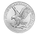 Buy 2023 MintFirst™ Silver Eagle Coins (tube of 20), image 1