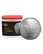 2024 1 oz Platinum Maples Tube (10 coins) - MintFirst™