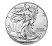 Buy 2024 MintFirst™ Silver Eagle Coins (tube of 20), image 2