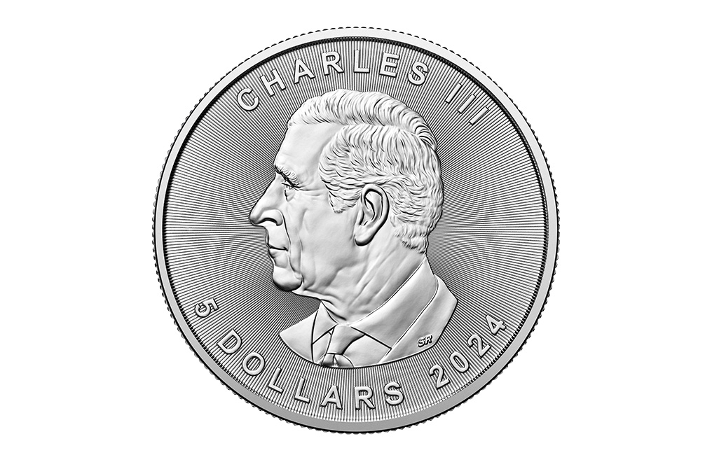 Buy 2024 MintFirst™ Silver Maple Leaf Coins (25 pcs) .9999, image 2