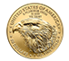 Buy 2025 1 oz Gold Eagle Coins (20 per tube) - MintFirst™, image 0