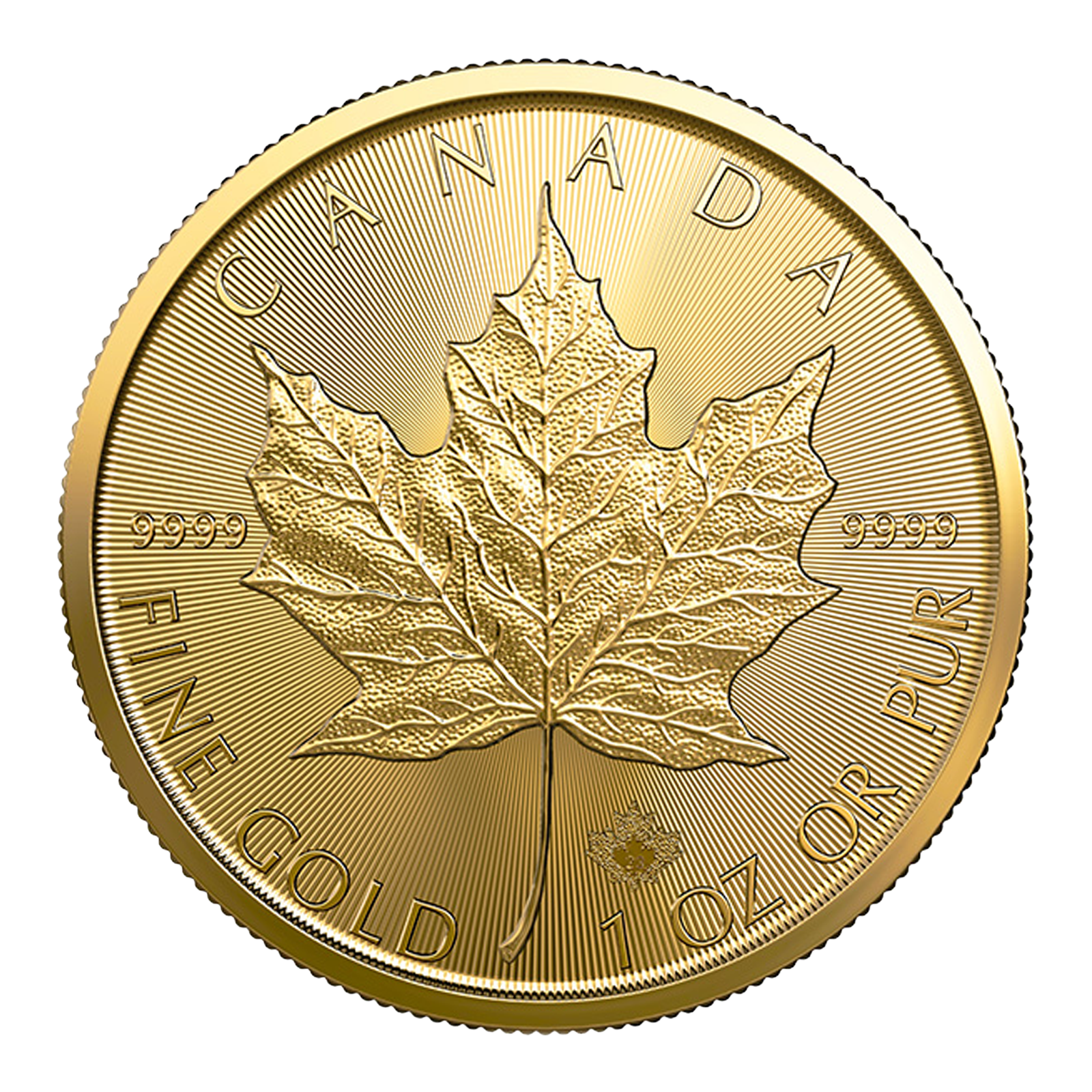 2025 MintFirst™ 1 oz Gold Maple Leaf Coins (tube of 10), image 1