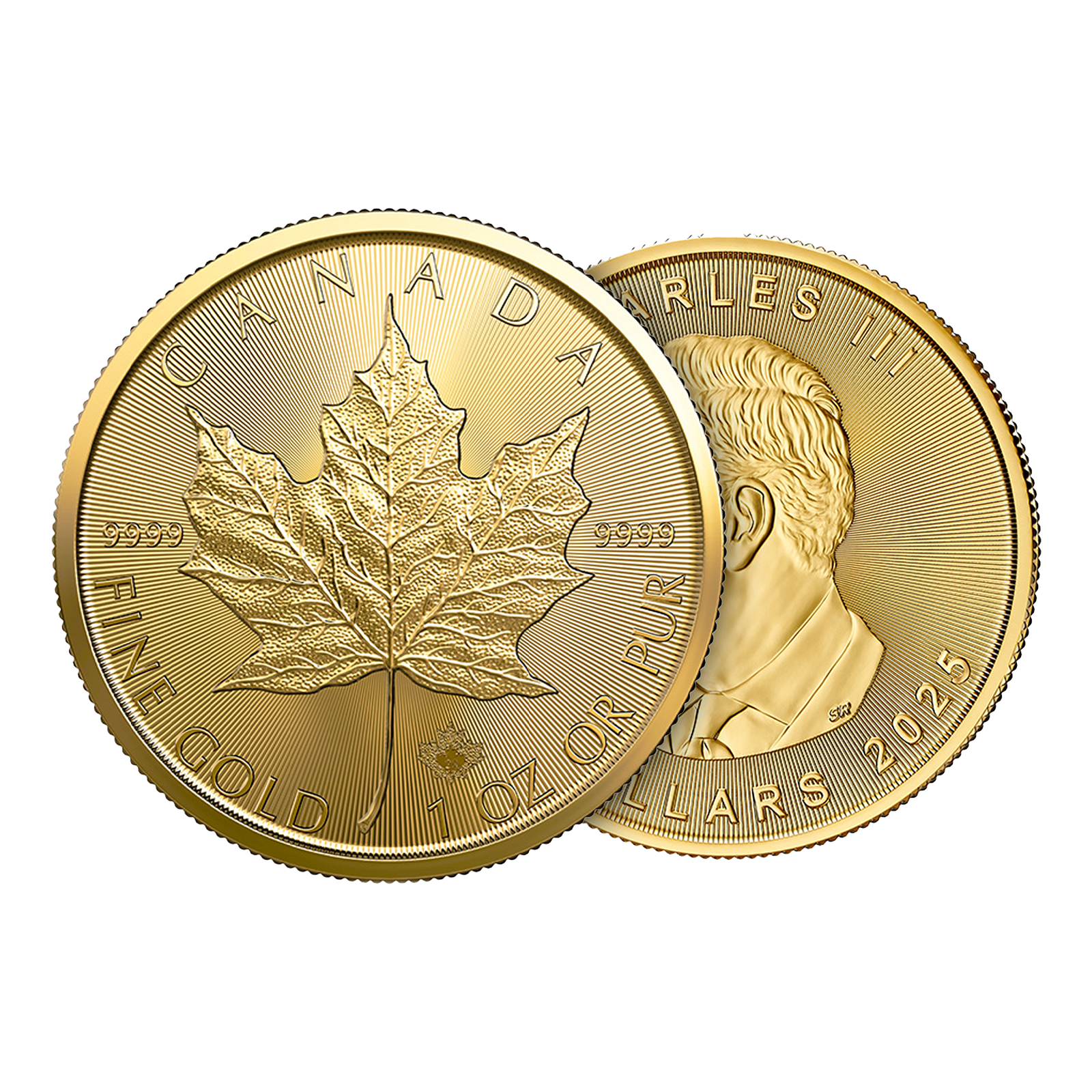 2025 MintFirst™ 1 oz Gold Maple Leaf Coins (tube of 10), image 3