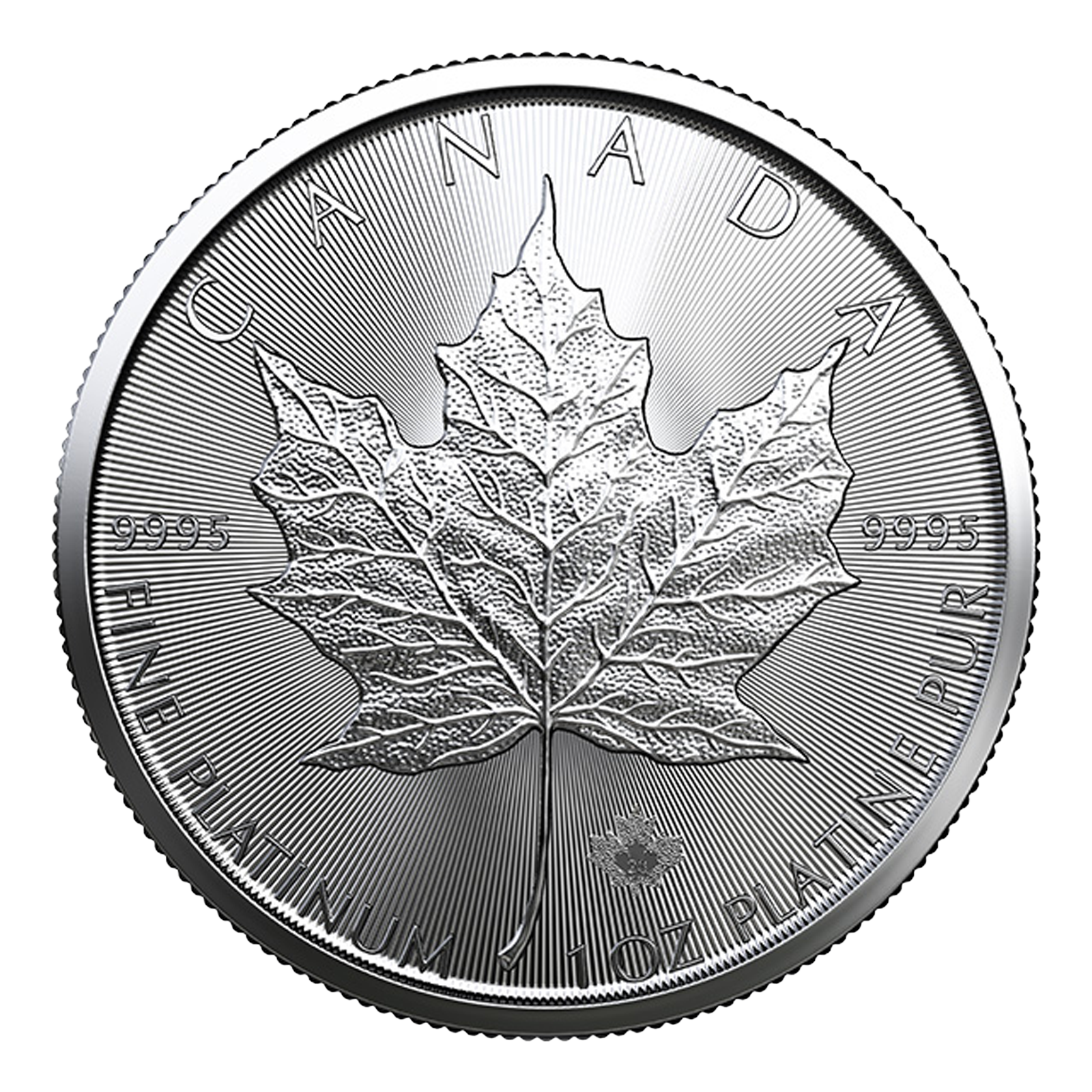 2025 MintFirst™ 1 oz Platinum Maple Leaf Coins (tube of 10), image 1