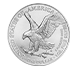 Buy 2025 MintFirst™ Silver Eagle Coins (tube of 20), image 0