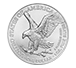 Buy 2025 MintFirst™ 1 oz Silver Eagle Monster Box (500 Coins), image 0