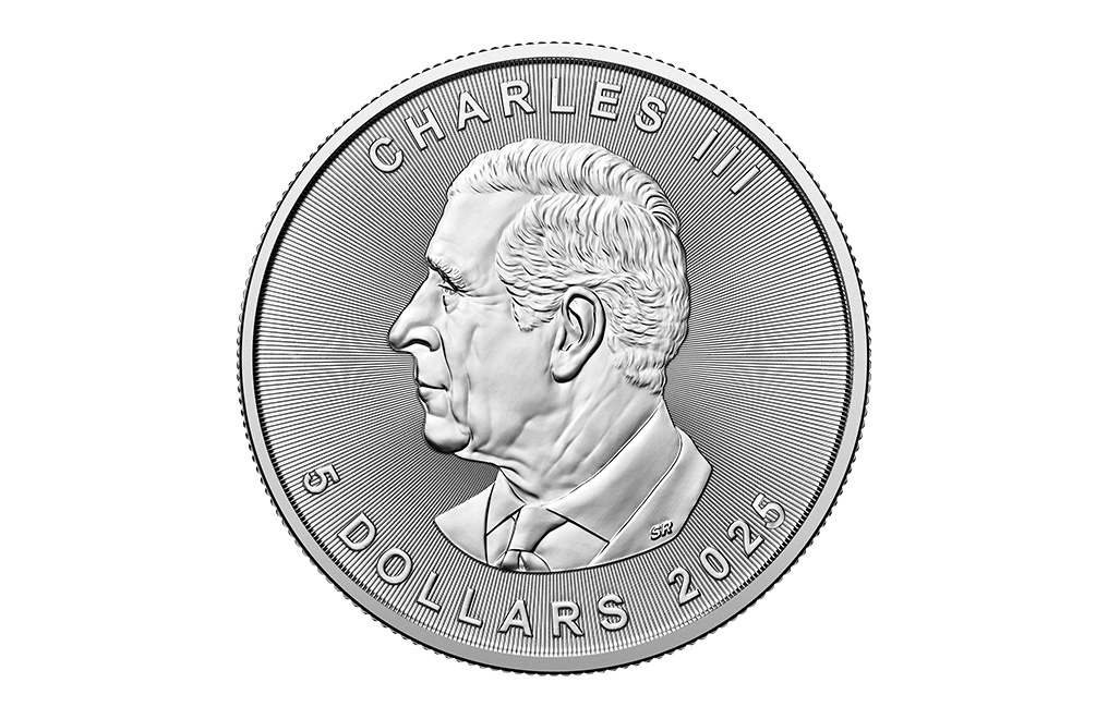 Buy 2025 MintFirst™ Silver Maple Leaf Coins (25 pcs) .9999, image 1